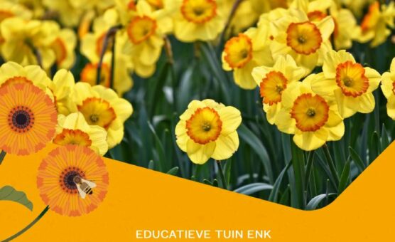 Lentekriebels op educatieve tuin De Enk